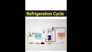 Refrigeration Cycle With Components  Main Components Kitne Hotel Hai Refrigeration Cycle Mai [upl. by Luise111]