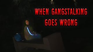 When Gangstalking Goes Wrong [upl. by Hardan834]