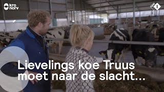 Vanwege de regelgeving verkeert Boer Frans in zwaar weer  Onze boerderij [upl. by Kelli623]