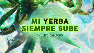 Mi yerba siempre subeChulito Camacho [upl. by Akenet]