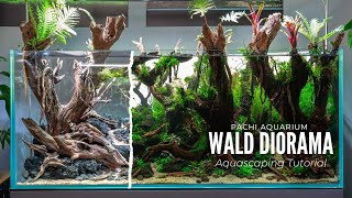 Aquascaping Tutorial 300L Wald Diorama Aquarium Komplette Einrichtung [upl. by Anaehs]