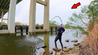 Walked Under a Giant Bridge and Caught Dinner Catch Clean Cook [upl. by Anat]