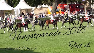 Hengstparade 2018 in Neustadt Dosse Teil 45 I Trick Riding Girls I Hengste [upl. by Nahta466]