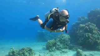 Eilat  111124  diving near border [upl. by Wilonah949]