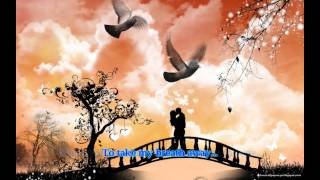 Would You Be There by Redwan Ali  Lyrics [upl. by Nugesulo176]