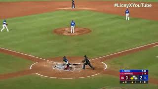 Gigantes del Cibao Vs Tigres del Licey  RESUMEN [upl. by Keel889]