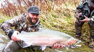 GIANT 20 lb  OREGON STEELHEAD  2017EP02 [upl. by Anola]