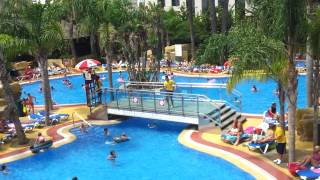 flamingo oasis benidorm [upl. by Selym]