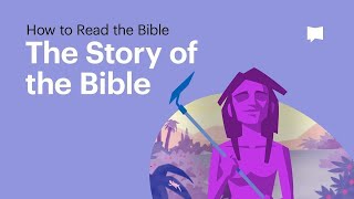 The Story of the Bible • What Its About From Beginning to End [upl. by Iridissa134]