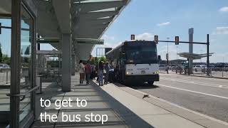 In a minute Locating Newark Airport Express bus bay at all terminals [upl. by Coyle]