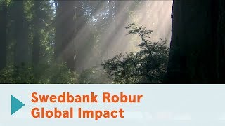 Swedbank Robur Global Impact [upl. by Eila]