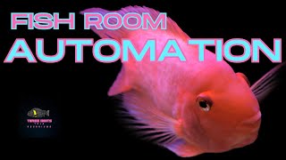 Is Fish Room Automation Worth It Hilarious Fails Inside Episode 82 [upl. by Radec]