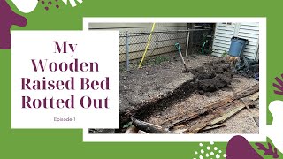 Episode 1 My Wooden Raised Beds Rotted Out [upl. by Culliton]