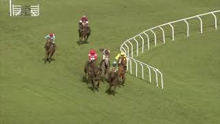 Cheltenham Festival 2019 Day 1  All Finishes [upl. by Nuriel]