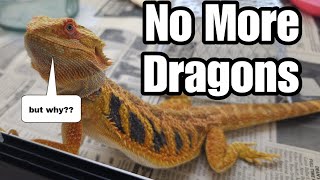 What happened to my bearded dragons [upl. by Oicirtap182]