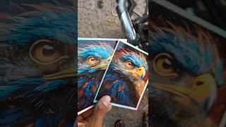 Only 50 rupees 😱 splendor bike shocker sticker short bikemodifid sticker [upl. by Sebbie]