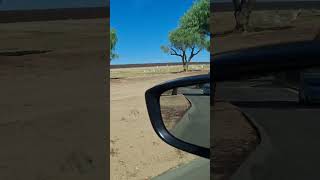 agua mansa cemetery my video Oct 9 2024 [upl. by Alleon]