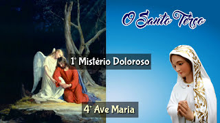 Rosário o Santo Terço Mariano  Mistérios Dolorosos [upl. by Hiamerej]