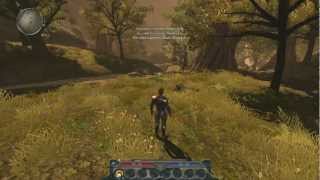 Divinity II Developers Cut [upl. by Winfred]