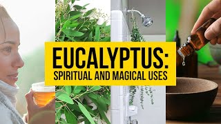 Eucalyptus Spiritual and Magical Uses  Yeyeo Botanica [upl. by Kinnon]