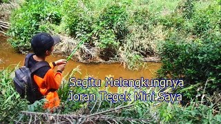 sensasi tarikan dengan joran tegek [upl. by My]