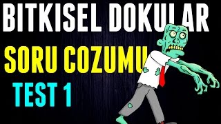 BİTKİSEL DOKULAR SORU ÇÖZÜMÜ TEST 1 LİSE BİYOLOJİ [upl. by Bannon]