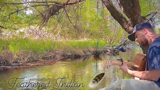 Feathered Indian  Tyler Childers cover [upl. by Zenda]