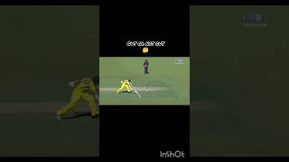 Runout or no cricket shortsviral subscribe championtrophy2025 [upl. by Bendick714]