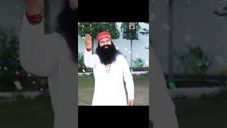 MSG song moj derasachasauda msglive subscribe song shorts msglow msgsong drmsglive [upl. by Nalehp56]