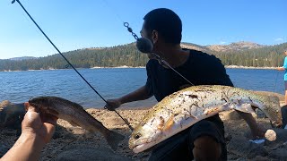 LAKE ALPINE CAMPING Catch n Cook Rainbow Trout [upl. by Nrev]