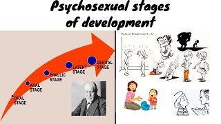 5 stages of development by sigmund freud  psychosexual development Hindiurdu [upl. by Hollingsworth]