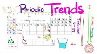 Periodic Trends  Atomic Radius Electronegativity Ionization Energy  Chemistry Series [upl. by Clim802]