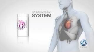 Proflavanol C PH en  USANA Video [upl. by Seena]