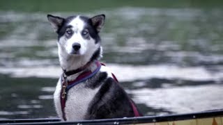 Good Dog Travels On Leaking Boat  Life Below Zero  Earth Unplugged [upl. by Davena429]