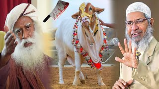 Dr zakir naik reply to Sadhguru on Cow slaughtering in Eid ul Adha [upl. by Teufert492]