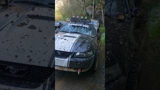 The MudStang ford mustang offroad 4x4cars gambler500 fordmustang ponysmasher [upl. by Allehc657]