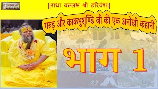 काकभुशुण्डि जी और गरुड़ जी की संपूर्ण कहानी  Shri Hit Premanand Ji Maharaj [upl. by Hogen73]