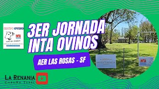 3er Jornada INTA Ovinos AER Las Rosas [upl. by Nurat]