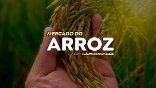 Arroz no varejo  quando voltarão as reposições [upl. by Odie]