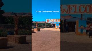 A Day Trip Pumpkin Festival pumpkin california lopamudrakundu6391 shorts [upl. by Darce]