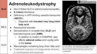 Leukodystrophies ALD MLD and GLD [upl. by Admana]