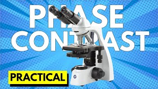 Phase contrast microscopy practical  How to use phase contrast microscope [upl. by Dub367]