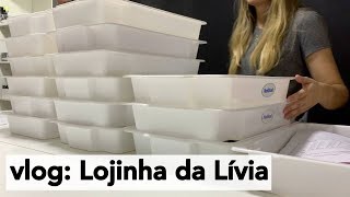 Lojinha da Lívia  Montando os pedidos compra com o fornecedor [upl. by Bernstein953]