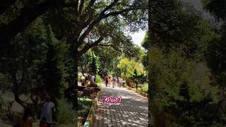 Bannerghatta National Park butterfly park yt feedshorts shortvideo shortsfeed viralvideo viral [upl. by Ajna]