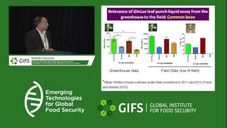 Improvements in Biological Nitrogen Fixation by Manish Raizada [upl. by Hemingway632]