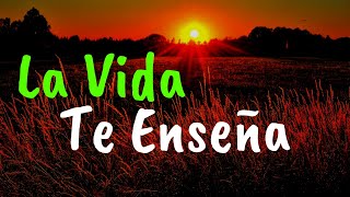 Cosas Que La Vida Nos Enseña ¦ Gratitud Frases Reflexiones Versos Reflexión Amor Propio [upl. by Lynette879]