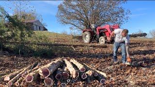 Logging Cedar For Our Sawmill   Part One [upl. by Schuh715]