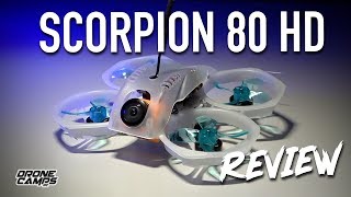 Gofly RC Scorpion 1080p HD Whoop  Honest Review amp Flights 🏁 [upl. by Annissa]