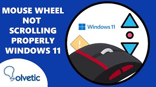 Mouse Wheel Not Scrolling Properly Windows 11 ✔️ [upl. by Bulley876]