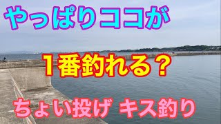 やっぱりココが1番釣れる？ちょい投げキス釣り 知多半島 [upl. by Juta]